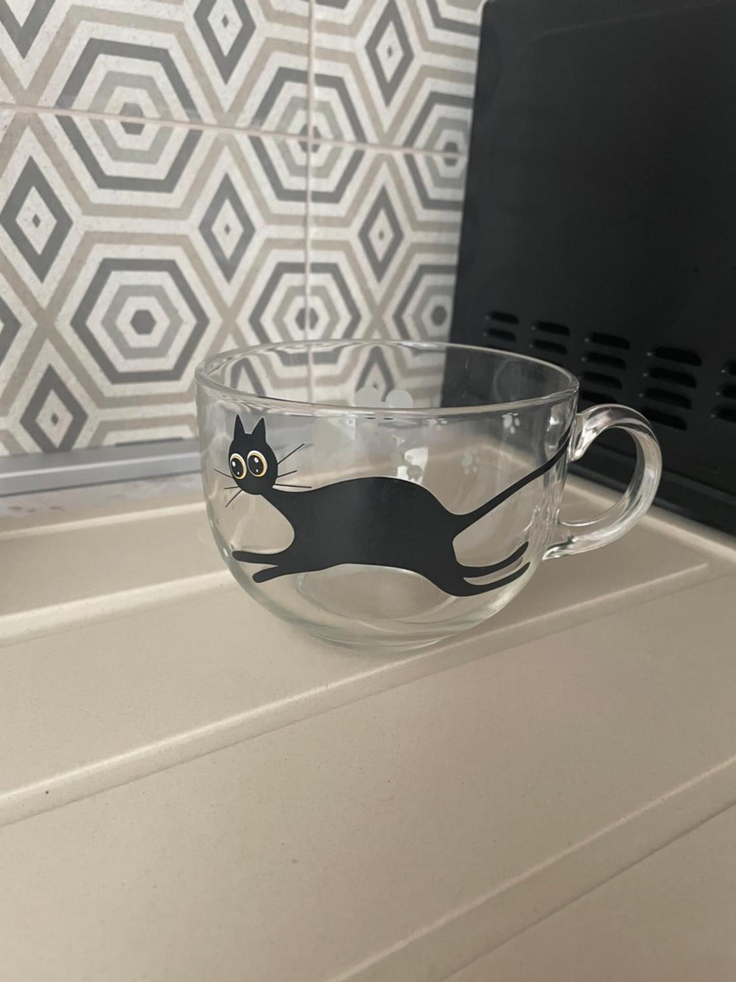Posh Cat דירה